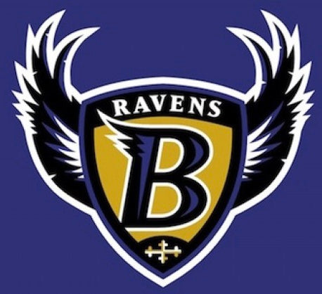 As promised, the old Ravens logo remade into an Orioles logo : r/baltimore