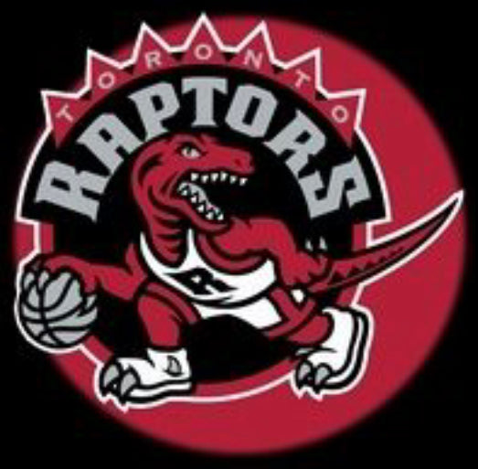 Champion - Toronto Raptors (Huskies) Damon Stoudamire vintage
