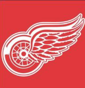  Reebok Detroit Red Wings Center Ice TNT 2017
