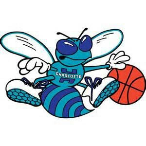 Charlotte Hornets – National Vintage League Ltd.