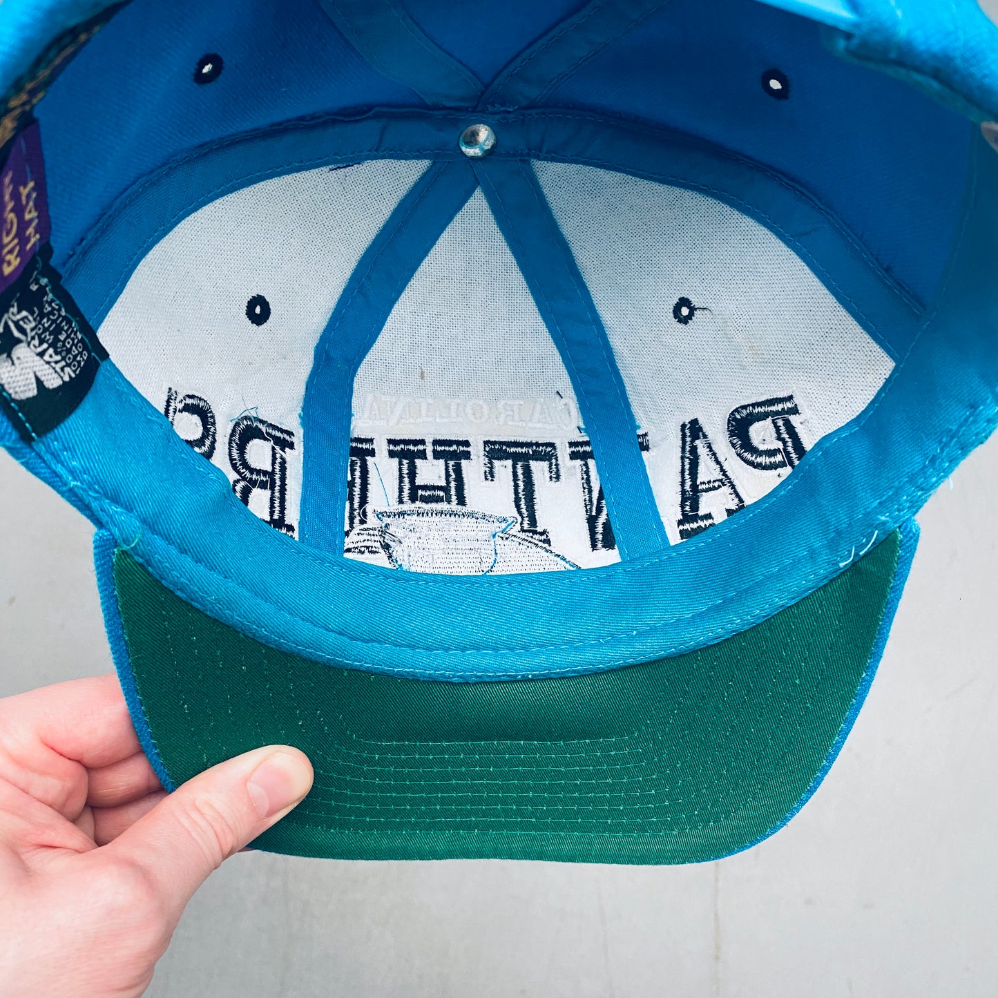 Carolina Panthers: 1990's Embroidered Starter Snapback