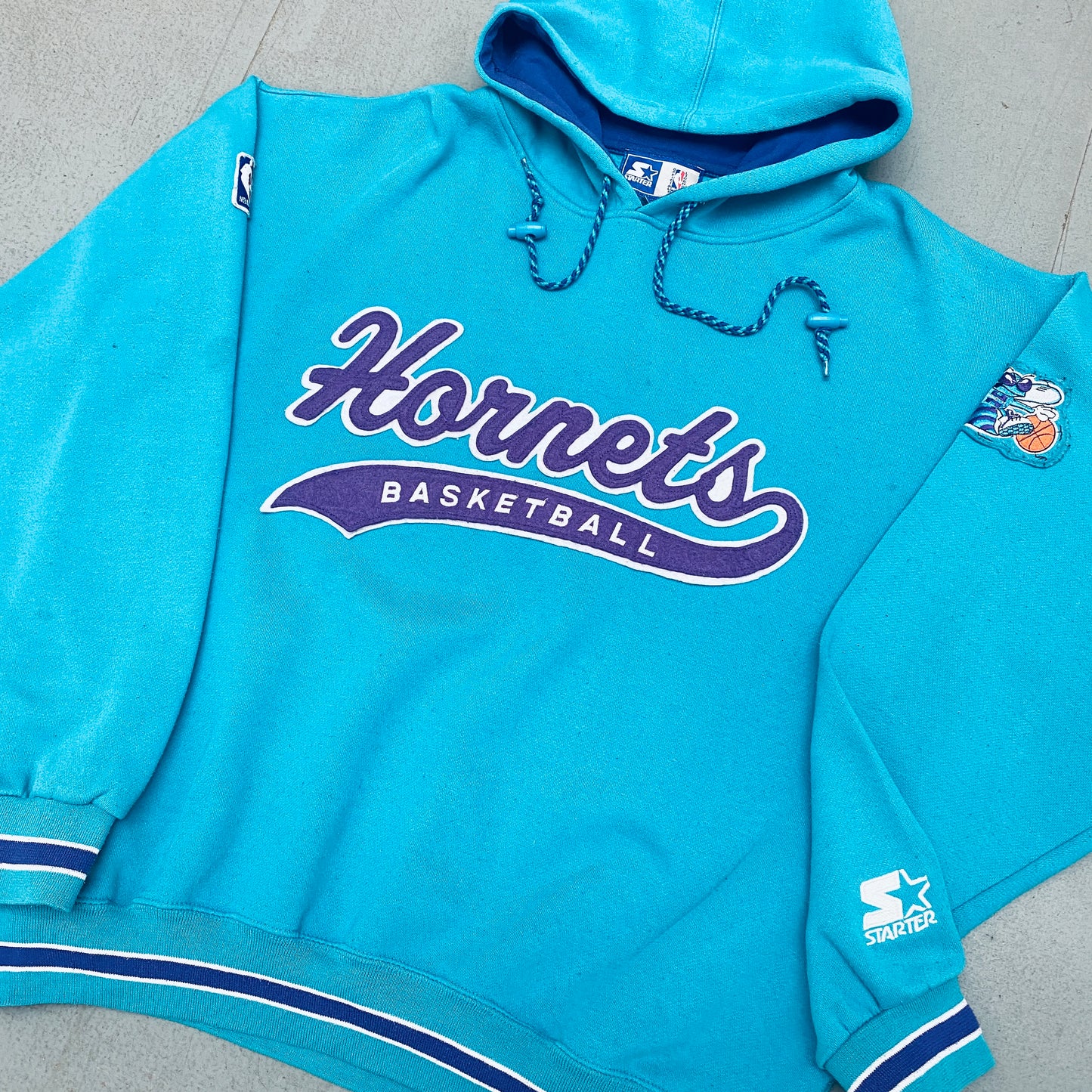 Charlotte Hornets: 1990's Stitched Script Spellout Starter Hoodie (L/XL)