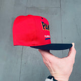 Florida Panthers: 1990's Embroidered Snapback - Deadstock BNWT