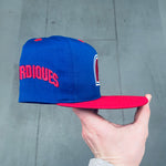 Quebec Nordiques: 1990's Embroidered Snapback - Deadstock BNWT