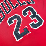 Chicago Bulls: Michael Jordan 1997/98 Red & Black Champion Reversible Jersey (L/XL)