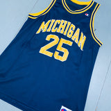 Michigan Wolverines: 1990's No. 25 Champion Jersey (L)