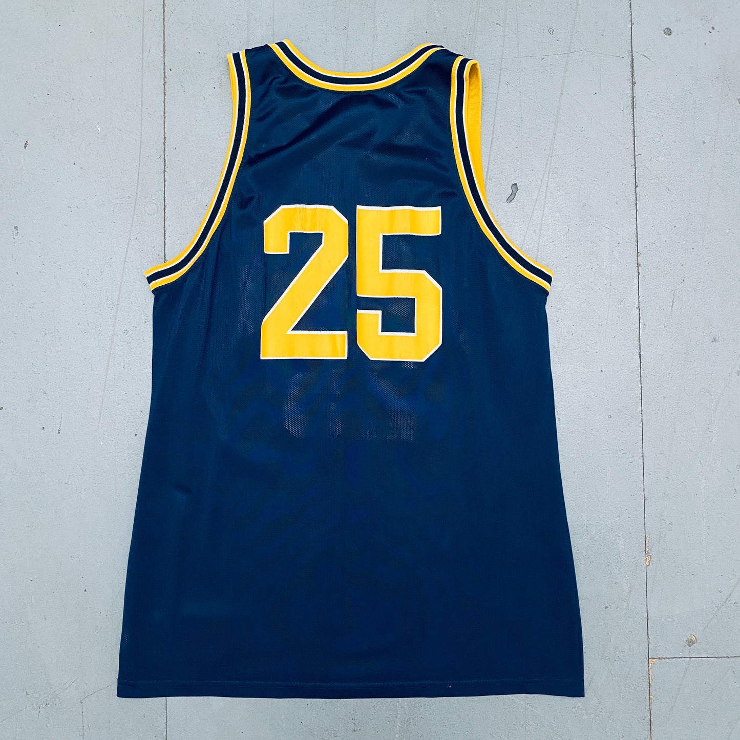 Michigan Wolverines: 1990's No. 25 Champion Jersey (L)